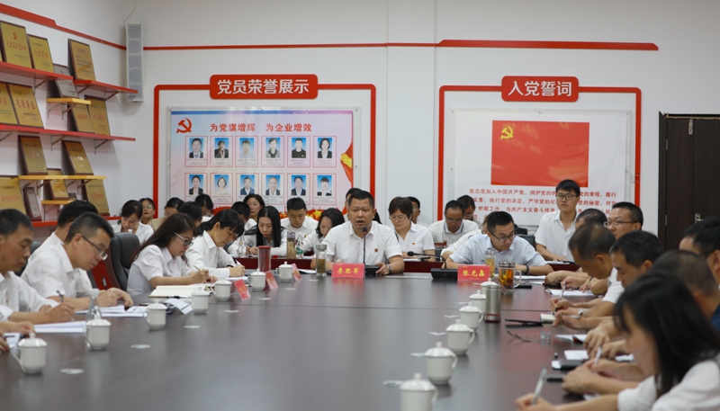 周长娣0809云胶集团开展学习贯彻习近平总书记“七一”重要讲话精神专题党课.jpg