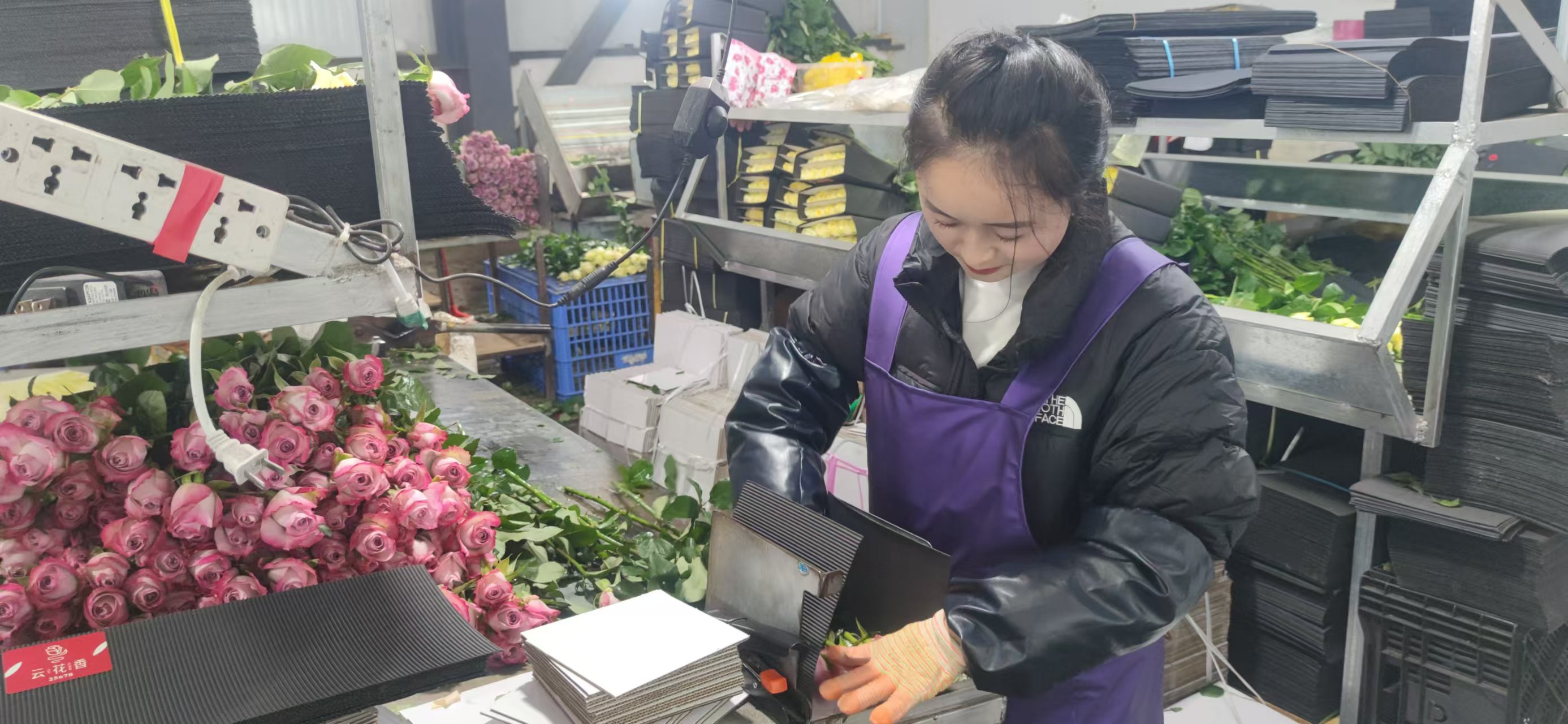 微信图片_20250102171724.jpg