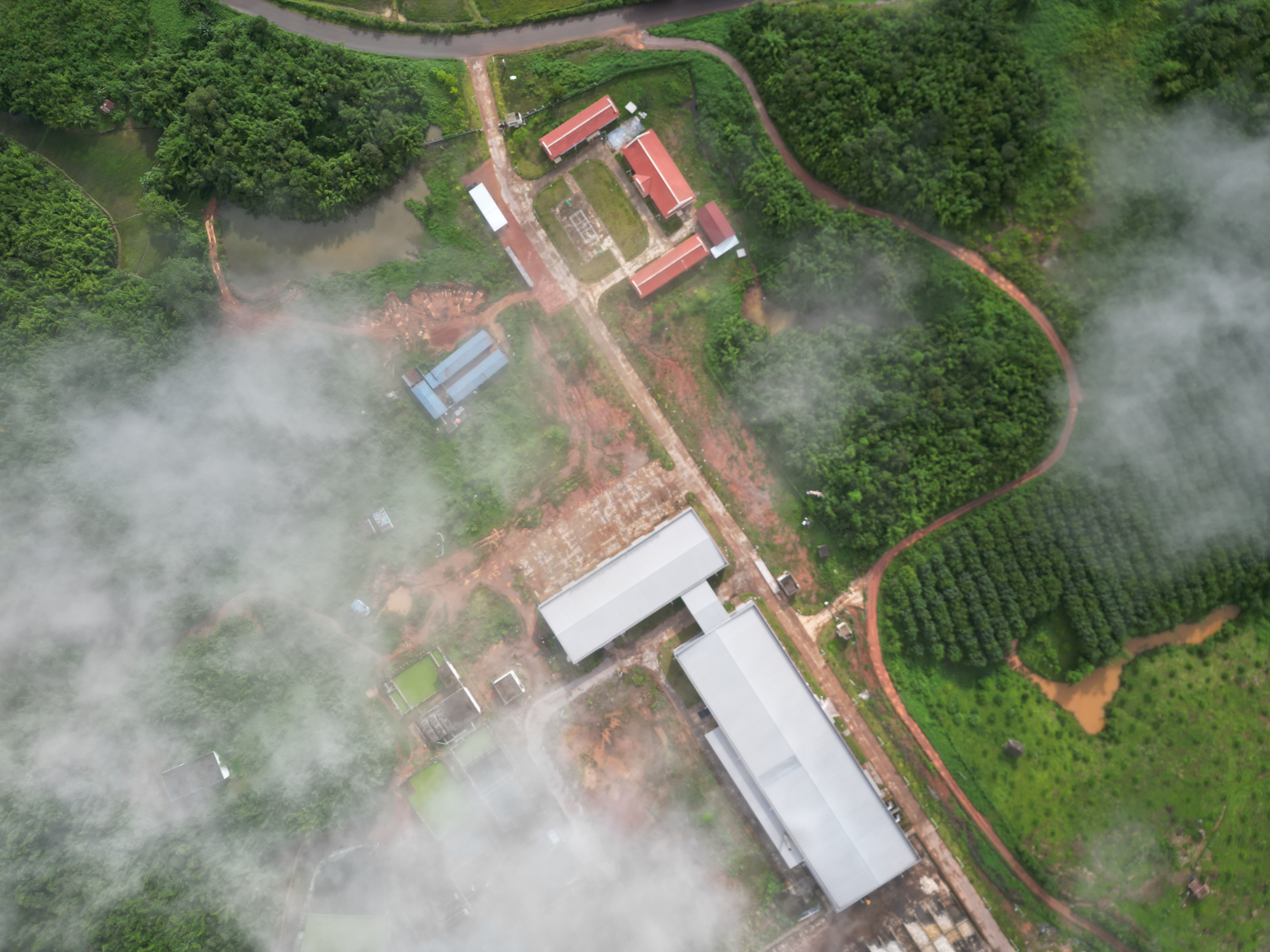 DJI_0008(1).jpg
